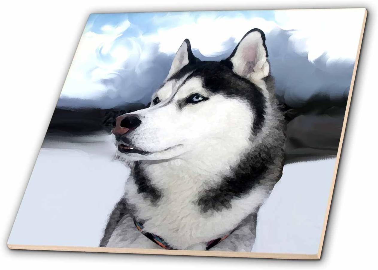 3dRose ct_4438_4 Siberian Husky Ceramic Tile, 12"