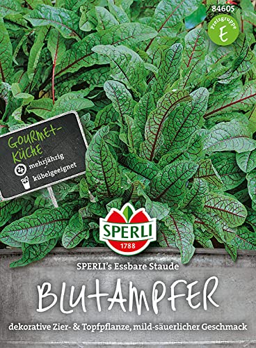 Sperli Gemüsesamen Blut-Ampfer eßbare Staude, grün