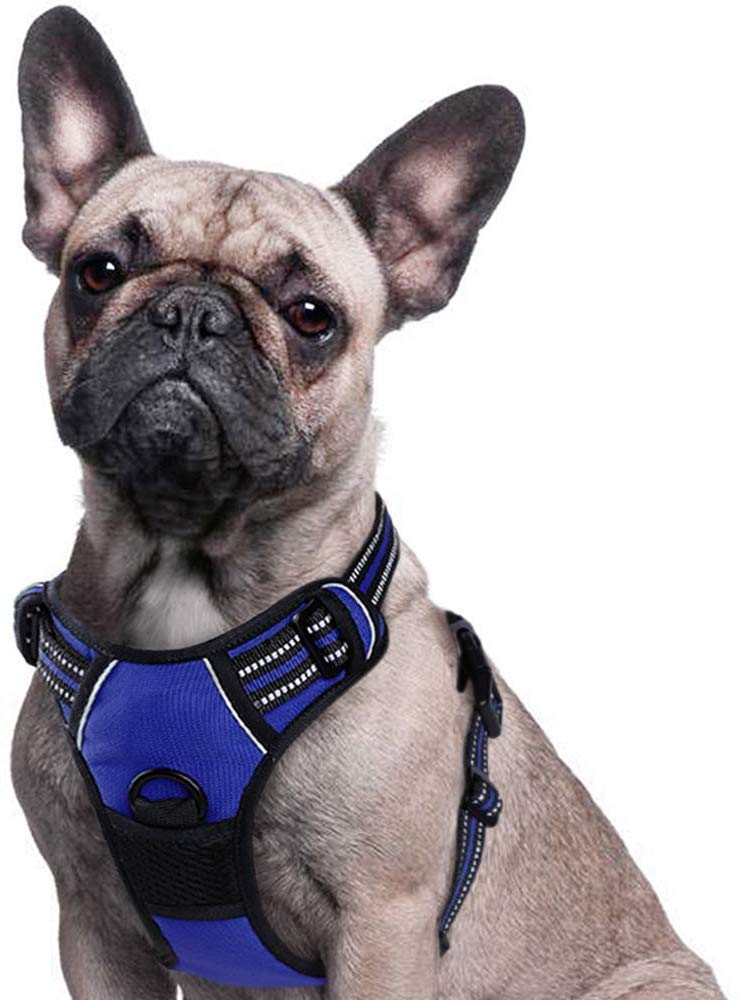 irelia no pull dog harness