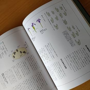 小原流様式集成 新版】小原流 様式集成 | 小原規容子 |本 | 通販 | Amazon