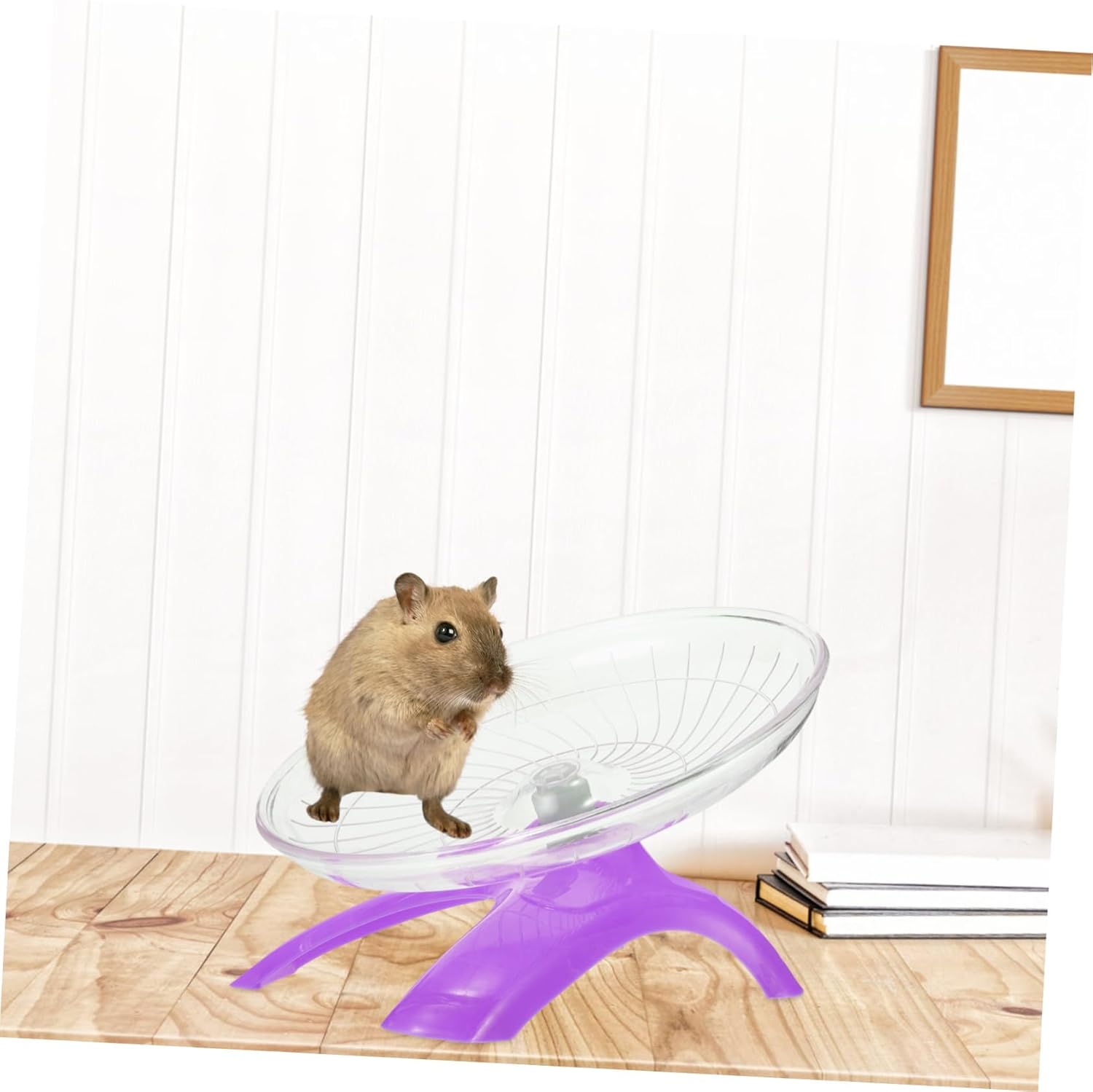 5pcs Quiet Hamster Wheel Small Animal Exercise Wheel 3 Colors Low Noise Design for Guinea Pigs Hamsters Chinchillas