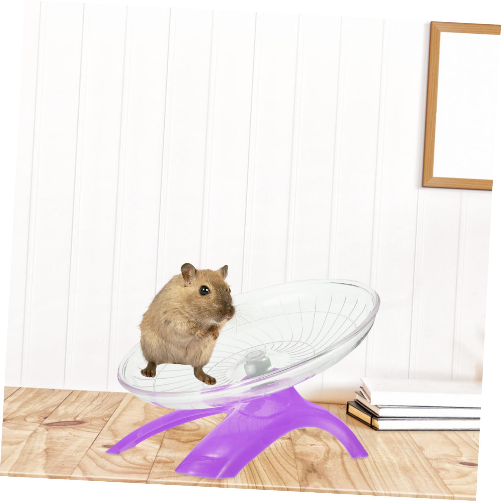CORHAD 2pcs Super Silent Large Hamster Running Wheel Exercise Toy for Gerbils Chinchillas Guinea Pigs and Hedgehogs