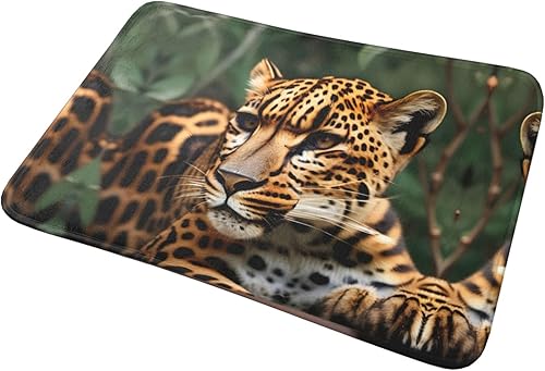 Miniatura 9 de Tapete de puerta con patrón de leopardo, tapete de puerta exterior para el piso de entrada del hogar, fácil de limpiar, tapetes de patio, 16 x 24