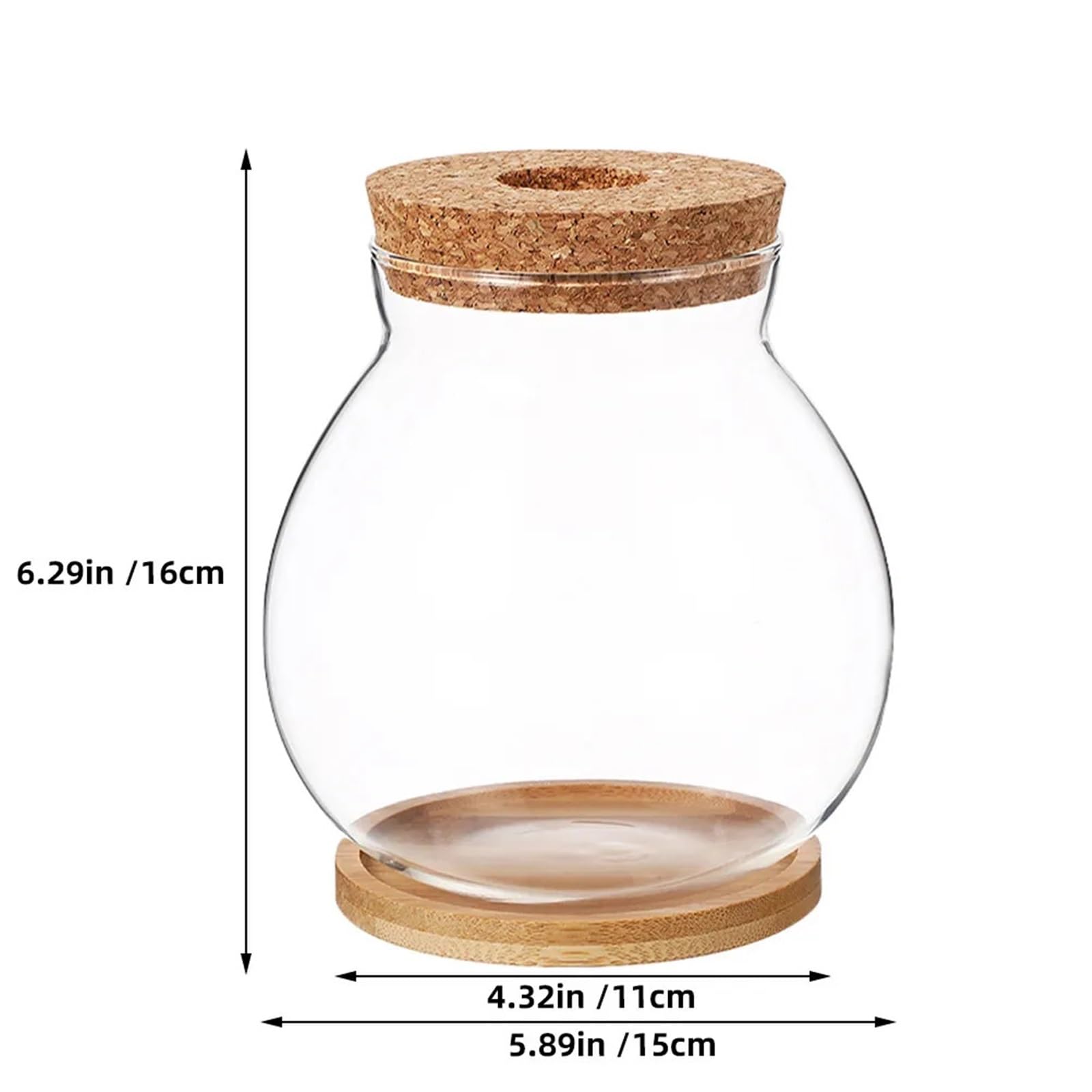 Vase Hydroponique Verre Vase hydroponique en Verre Transparent, Design for Plantes d'intérieur, Station de Propagation Bureau, décor esthétique, Utilisation Polyvalente