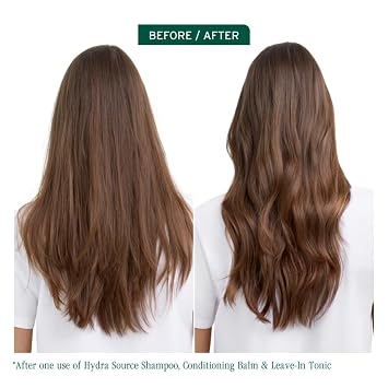 Biolage Hydra Source Daily Leave-In Tonic For Dry Hair, 8.5 fl oz