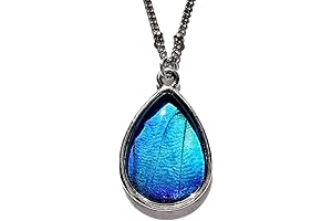 Silver Terrarium Necklace featuring Real Blue Morpho Butterfly Wings