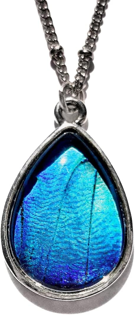 Real Blue Morpho Butterfly necklace silver In glass terrarium necklace Real butterfly wing jewelry Morpho Alexandrovna teardrop