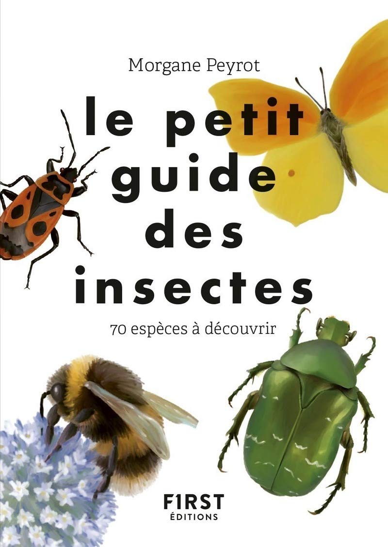 Le Petit guide des insectes: 70 espèces à découvrir