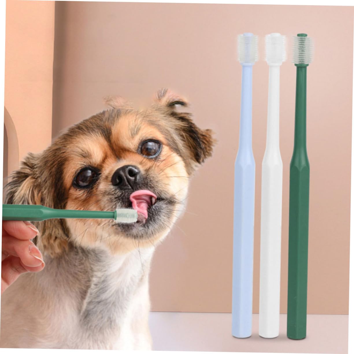 Kisangel 12piezas Cepillos De Dientes Para Mascotas Cepillos Manuales Grados Para Limpieza Bucal De Perros y Gatos Diseño y Compacto
