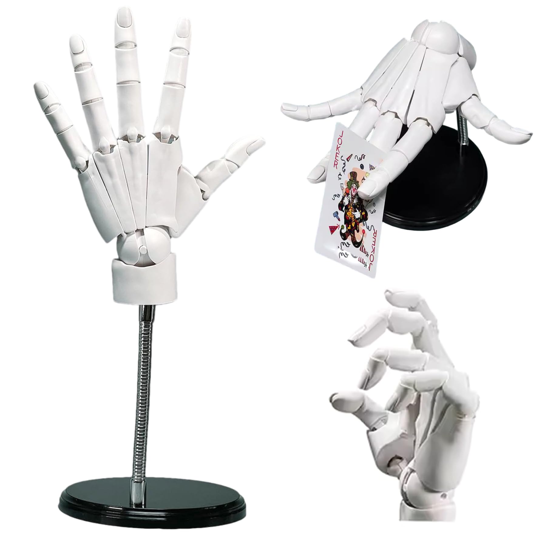 Main articulée 8x14 pouces avec articulation mobile et base de soutien - 7