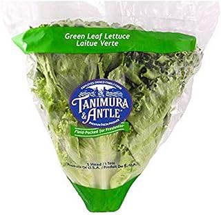 Green Leaf Lettuce, 1 Head