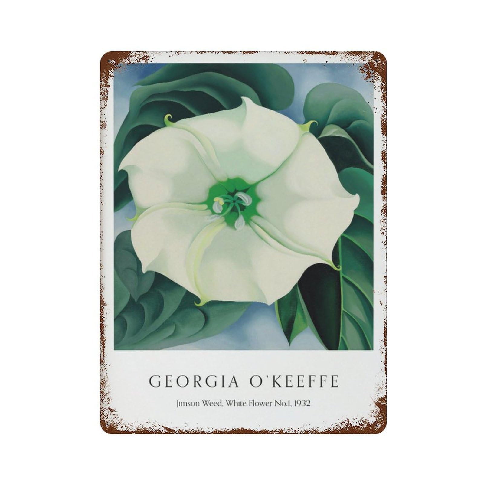 xiaoxiaoshen Georgia O'keeffe Jimson Weed Wall Decor Art Metal Tin Poster Modern Home Decor Art Home Bar Shop Decorations Vintage Sign 40x30cm