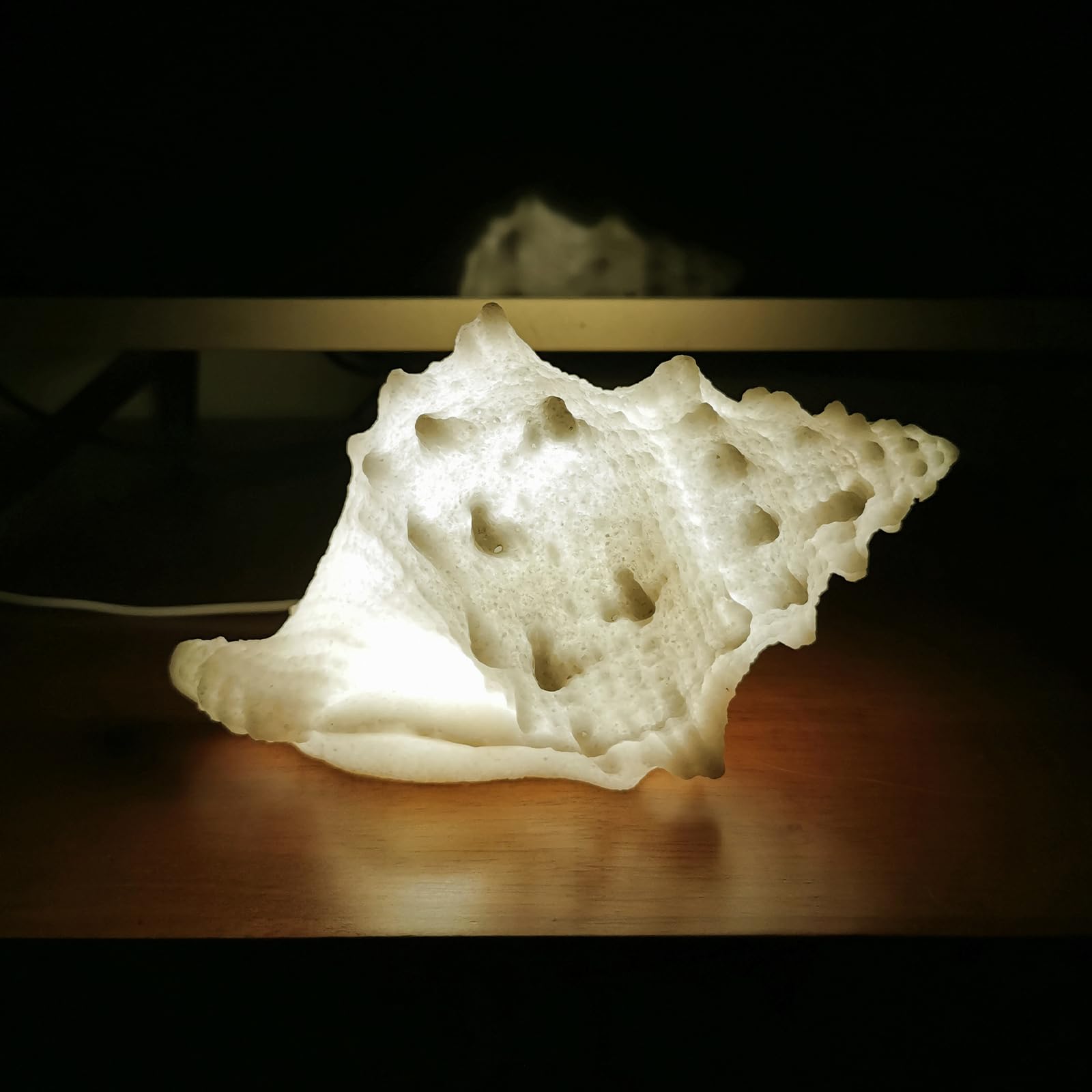 Luci notturne a conchiglia alimentate tramite USB, luce notturna a LED a forma di conchiglia, luci notturne a tema spiaggia, decorazione per bambini e adulti, camera da letto, comodini