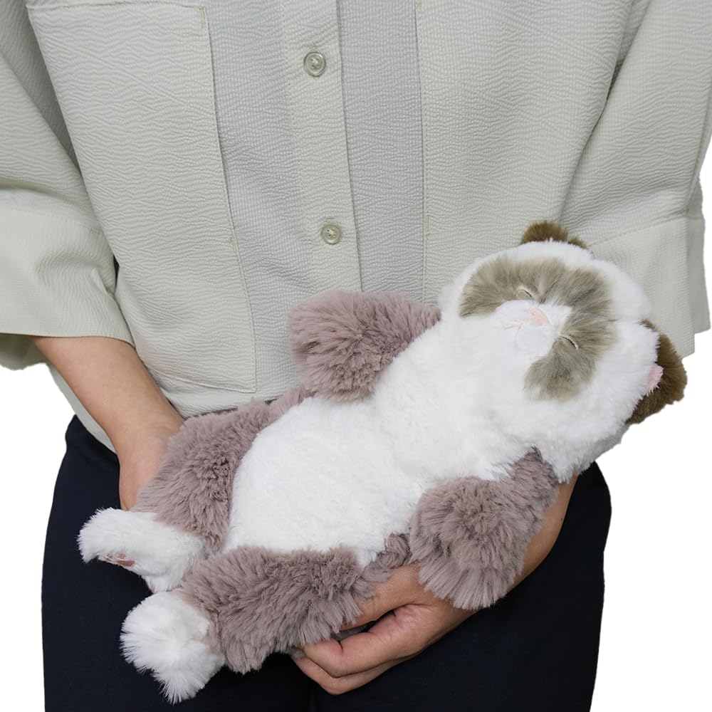 Amazon.co.jp: サンレモン ひざねこ すやすや S ラグドール GYBR 15×12