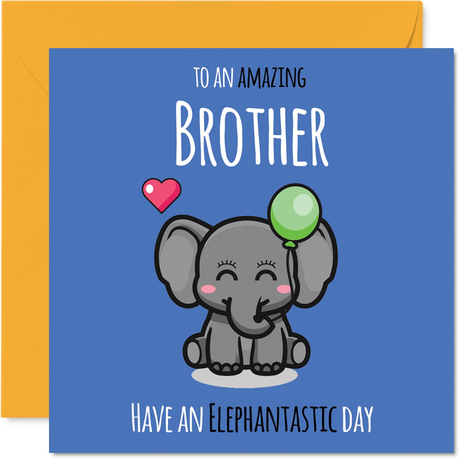 Brother Birthday Card - Have An Elephantastic Day - Happy Birthday Card for Brother from Sister Sibling, 145mm cute elephant Bday Greeting Cards
