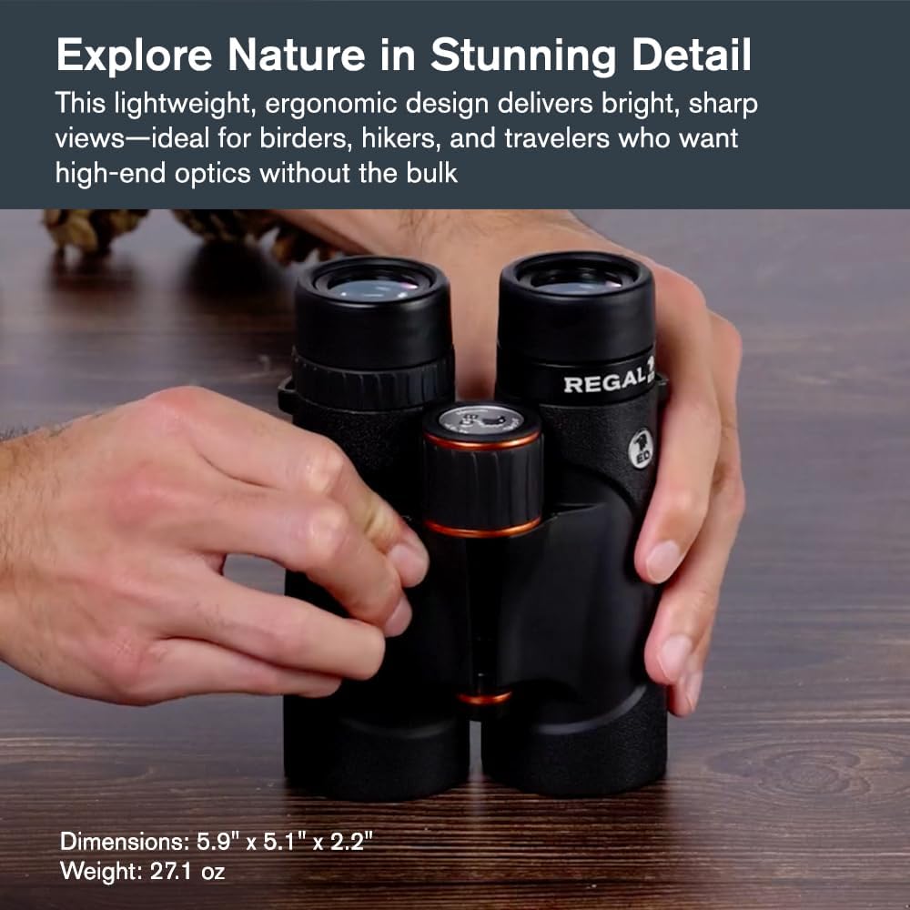 Celestron – Regal ED 10x42 Binoculars – Premium ED Optics for Hunting, Birding & Outdoor Use – Phase & Dielectric Coated BaK-4 Prisms – Fully Multi-Coated Glass – 6.5 ft Close Focus - Image 2