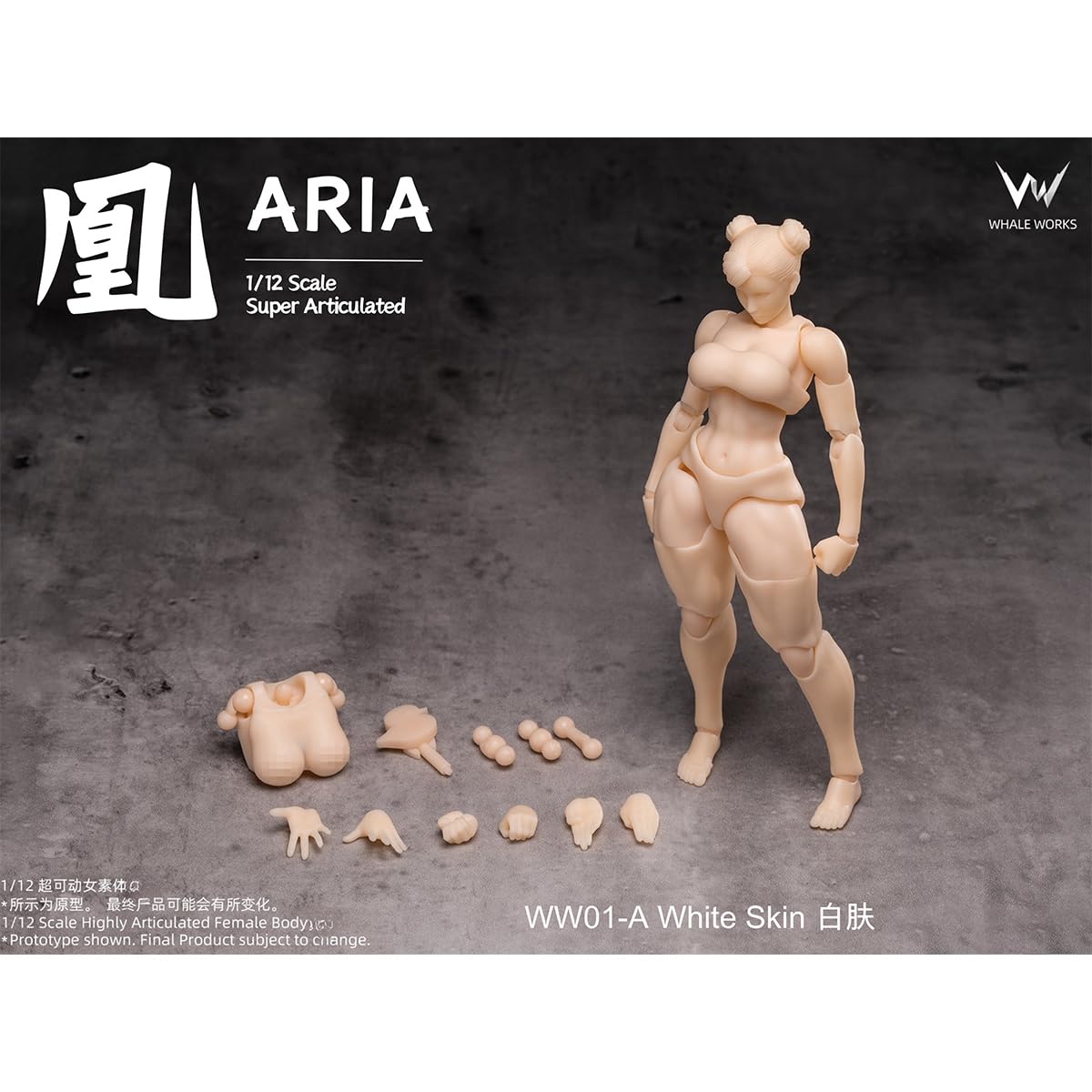 Amazon.co.jp: HiPlay 鯨工房 1/12 女性 素体 凰 ARIA 美白肌 WW01-A