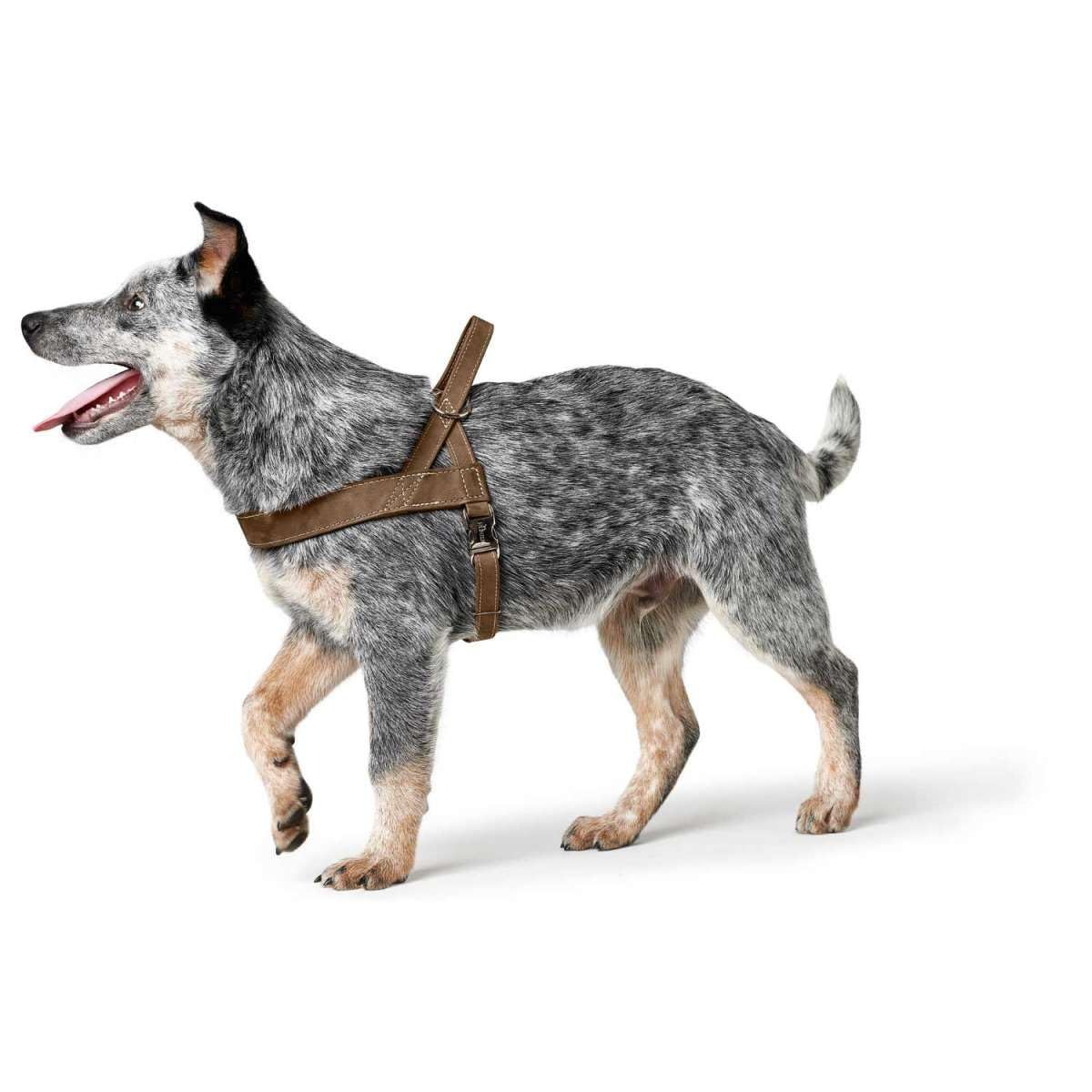 HUNTER Arnés Norwegian para Perros de Caza, 45 x 58-79 cm, Color marrón
