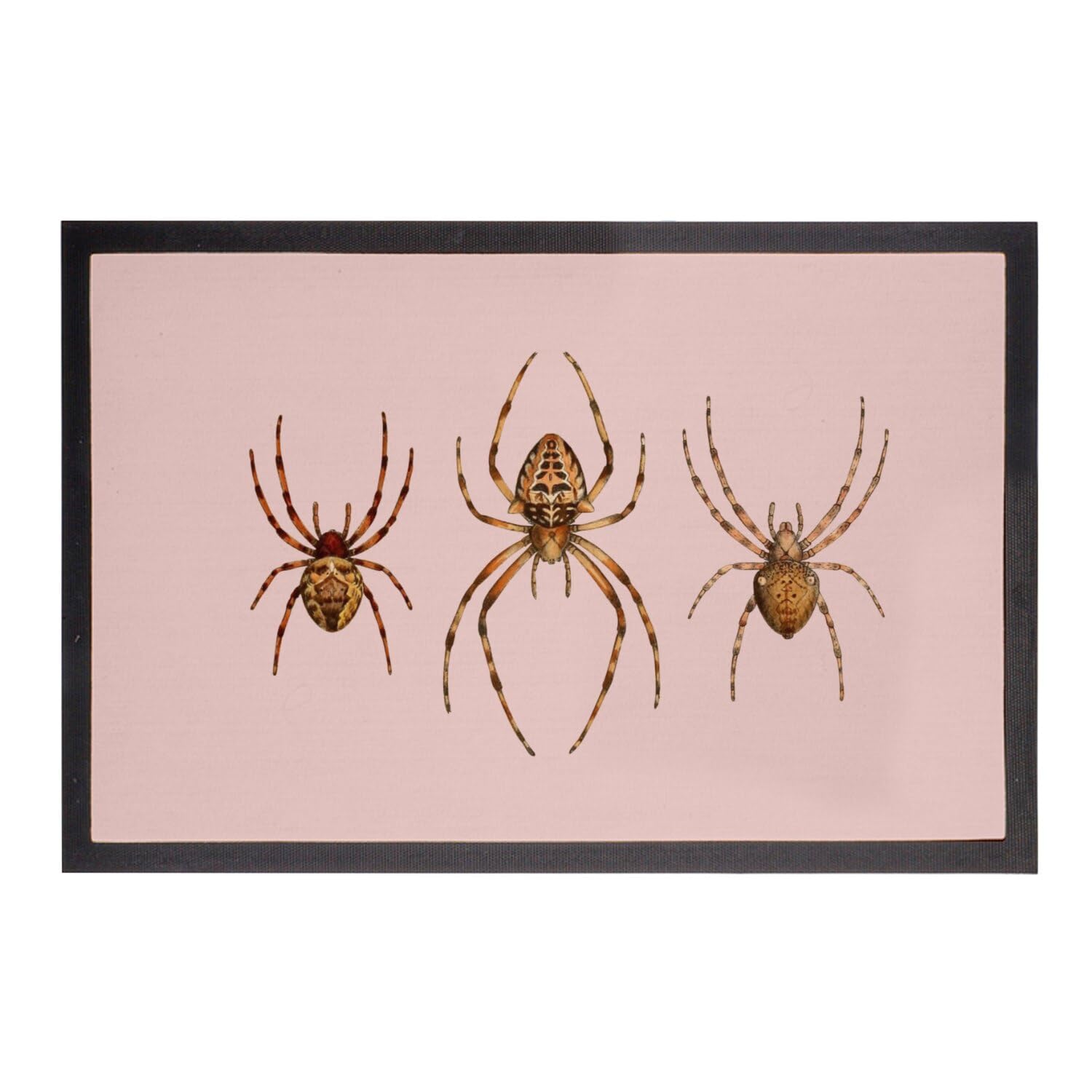 Paillasson rose araignées américaines 75x50 cm tapis d'entrée