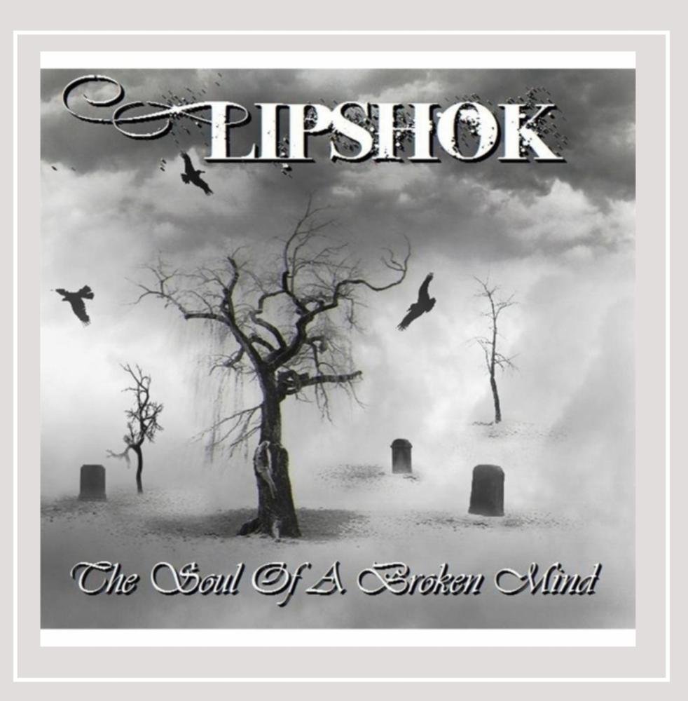 The Soul of a Broken Mind [Audio CD] Lipshok