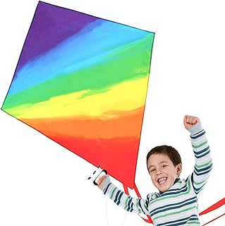 Butterfly Kite- Easy to Fly for Kids, Adults, Easy Beach Flying Kite for Beginner, for Ladies, Baby Girls. Single Line Kit...