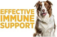 Vista 7 de maxxipaws SAM-e Digest Bundle – MaxxiSAMe Advanced SAM-e Apoyo SAM-e para perros y maxxidigest+ suplemento digestivo e inmunológico canino