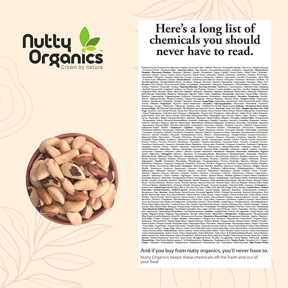 NUTTY ORGANICS Brazil Nuts - 100G (Grade A ++ Nuts, Premium Jumbo Size) - Richest Natural Source Of Selenium - Image 4 thumbnail