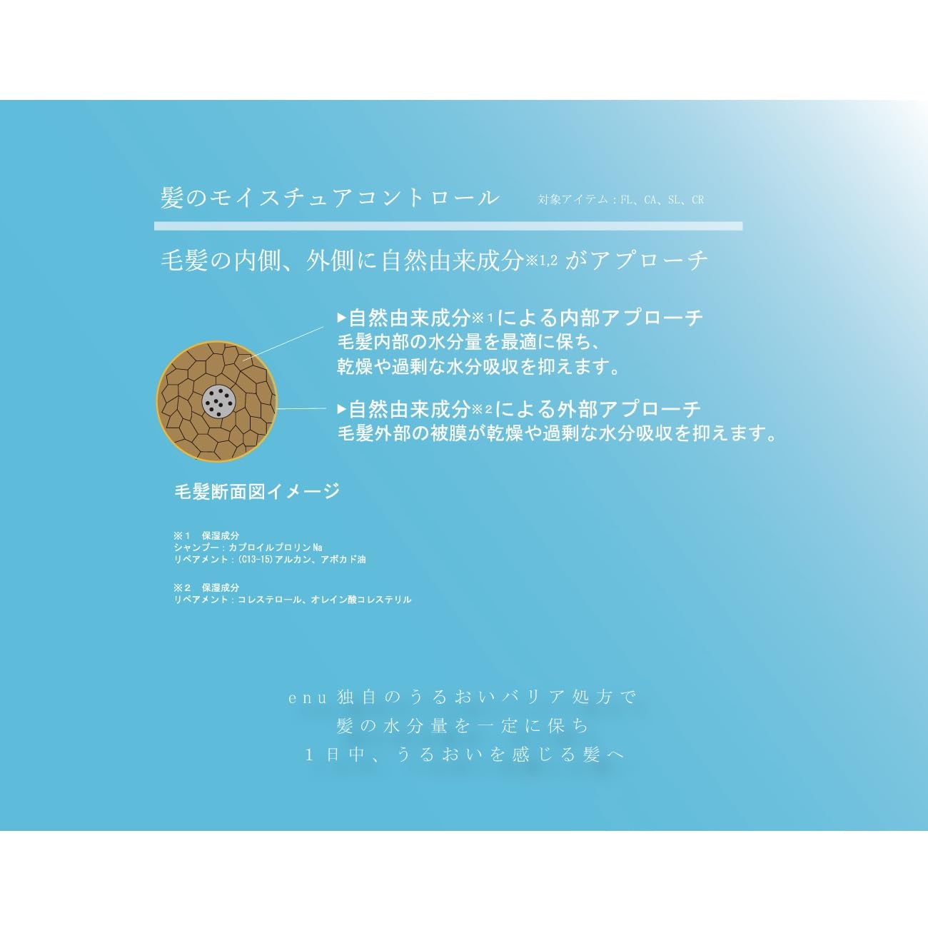 Amazon.co.jp: 中野製薬 enu(エヌ) リペアメント FL 250g : ビューティー