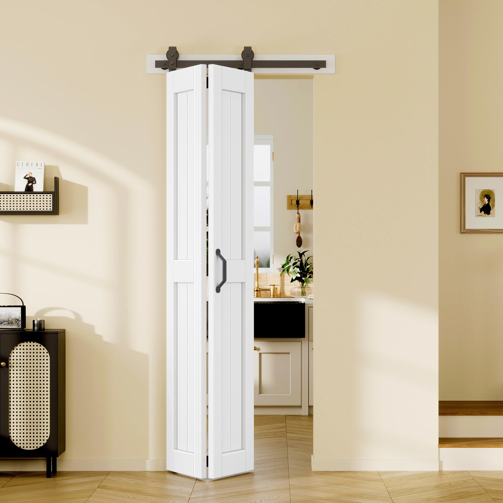 Easelife 32x84 Barn Door