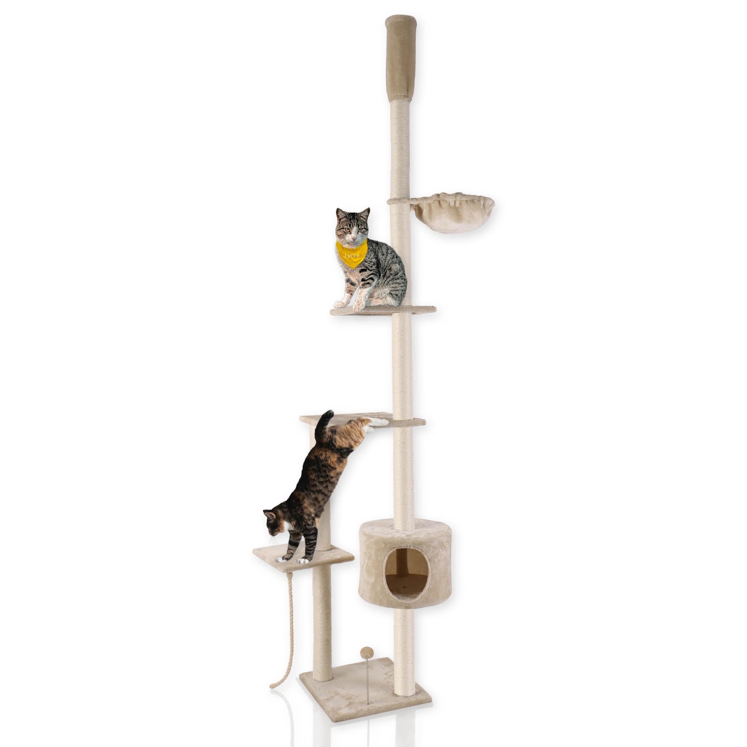 Lycce Katzenbaum Tower Kratzbaum deckenhoch Sisal Plsch beige 230-260 cm :  Amazon.de: Haustier