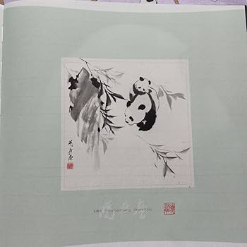 【レア品！新品・未使用品】和花ちゃん視点の限定品写真集「大熊猫的朋友圏」 Amazon.co.jp: 【レア品 未使用品】 和花ちゃん視点の限定品写真