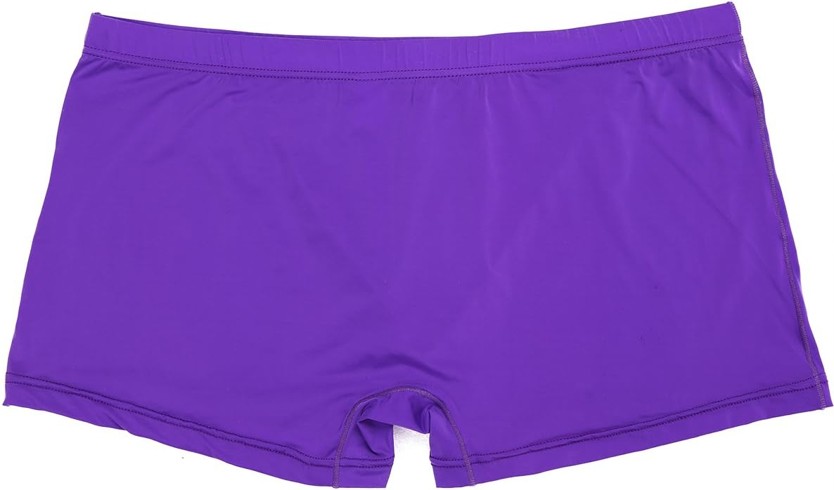 Alvivi Men's Ice Silk Boxer Briefs Seamless Sexy Casual Daily Shorts Lingerie Underwear