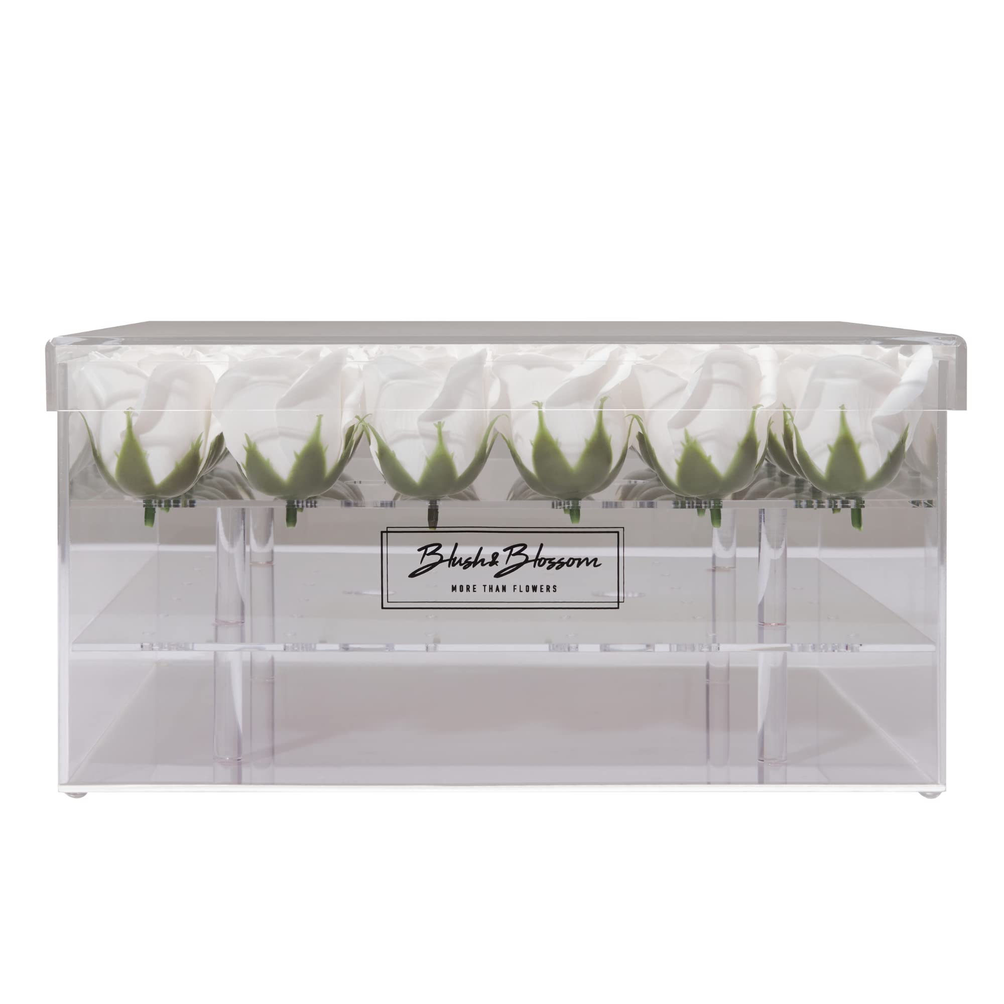 Blush & Blossom Rose Fleurs 36-Pièce dans Dégager Boîte, Avalanche