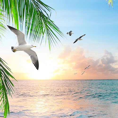 Miniatura 7 de Xiaoput Tapiz de paisaje natural, acogedor exterior de la ventana, palmera tropical, playa, mar, miau, puesta de sol, tapiz para colgar en la pared,