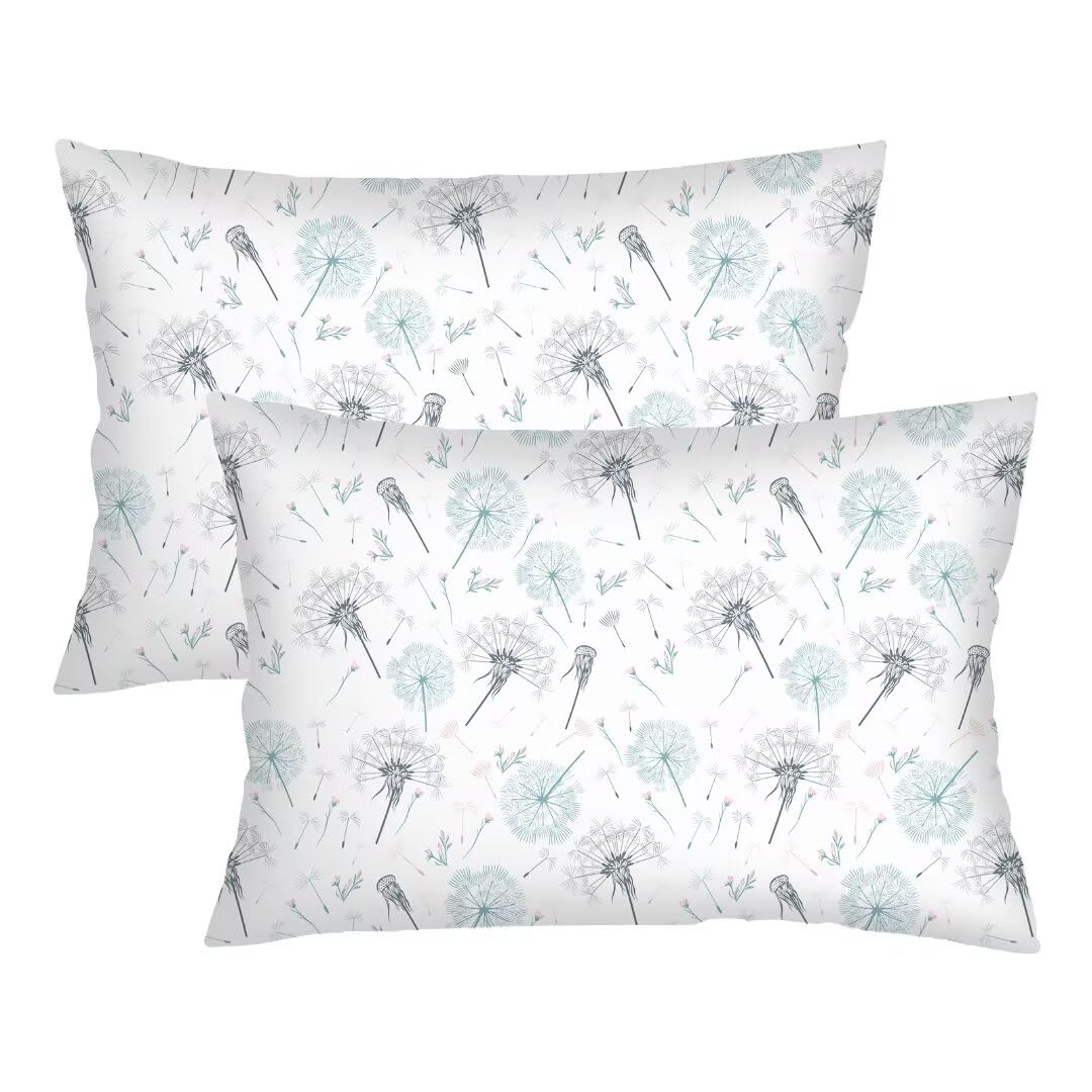 Dandelion Throw Pillow Cover Queen Size Set of 2,Floral Lumbar Pillow Case Flowers Pillowcases Soft Standard Pillow Cases with Zipper Decorative Bedding Cushion Covers for Bedroom,Couch,Sofa,20"x30"