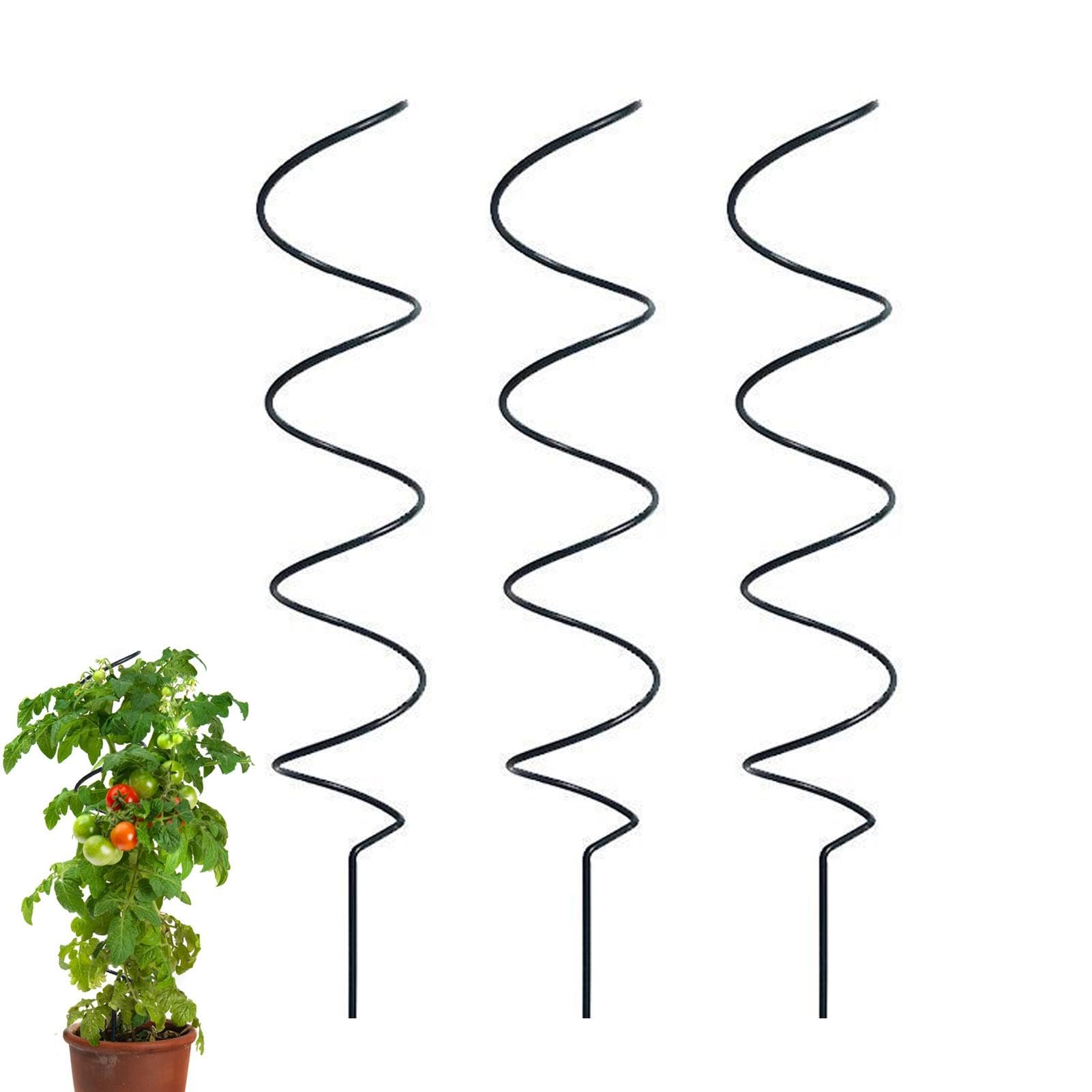 Pali di supporto per piante da 20 pezzi, asta di supporto per fiori con stelo per pianta singola con gabbia ad anello di supporto - 27 cm | Leroy Merlin