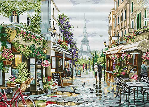 Awesocrafts Point de Croix Kit Complet Estampé, Paris Rue Scène Estampillé 14CT 2 brins 68×52cm Broderie Point de Croix Imprimé Cover