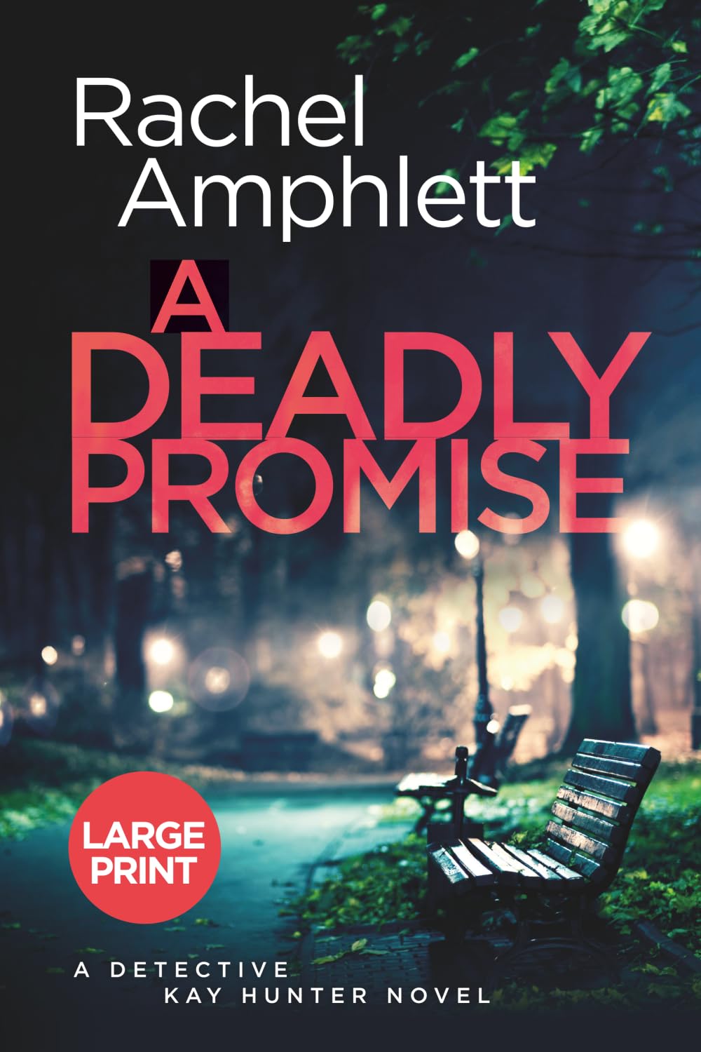 A Deadly Promise: A page turning crime thriller (large print): A Detective Kay Hunter crime thriller (large print): 13