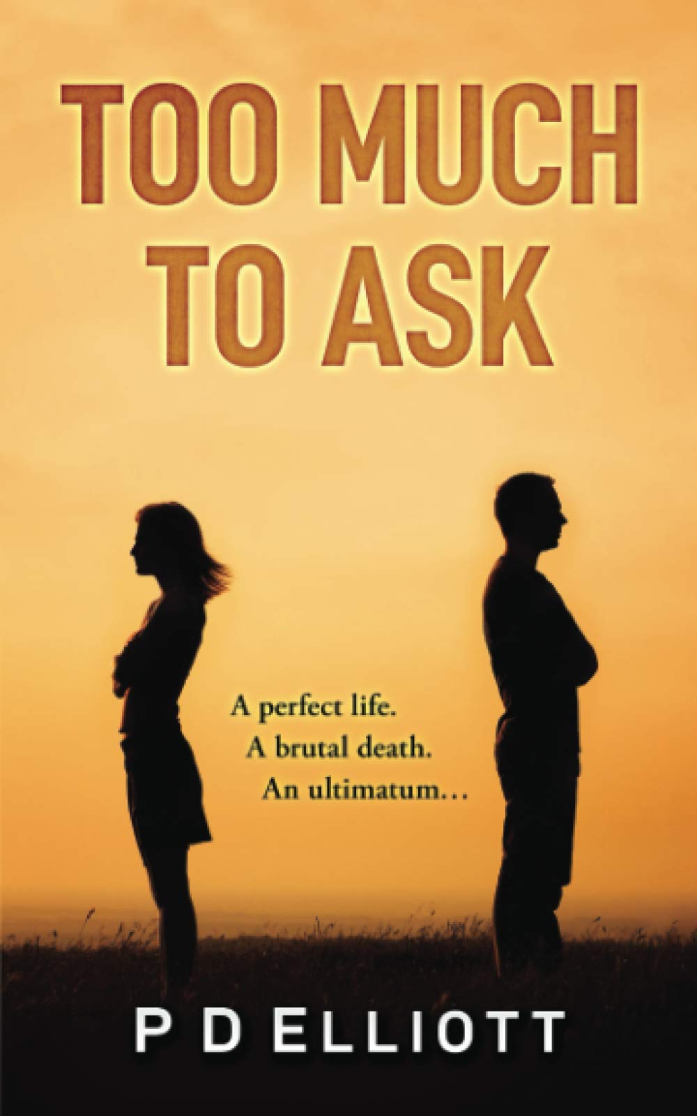 Too Much To Ask: An emotional rollercoaster of love, loss and new life