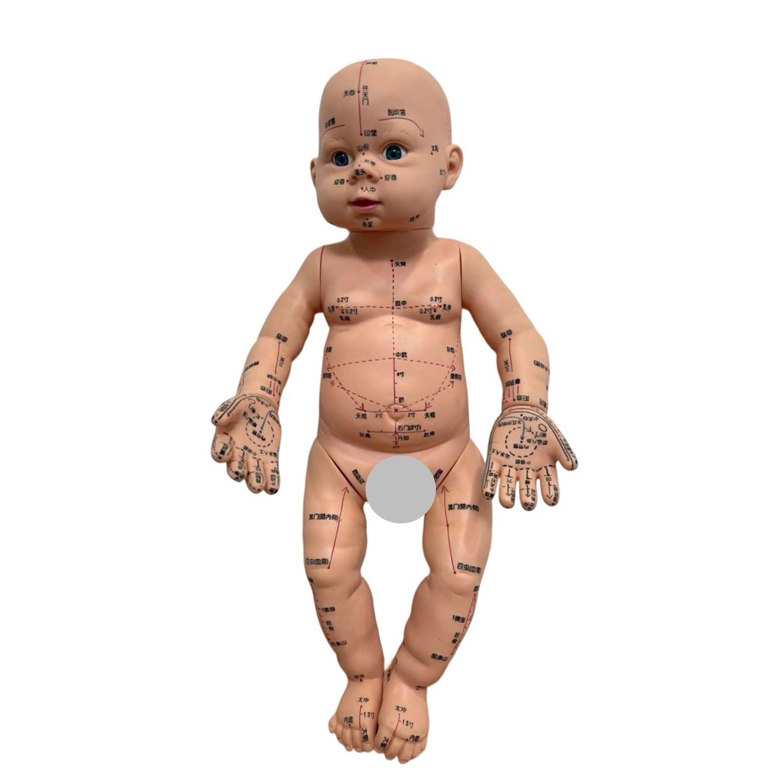 Modello di allenamento professionale per neonati con punti di agopuntura contrassegnati per la formazione nella cura dei neonati e la cura domestica, modello di massaggio pediatrico