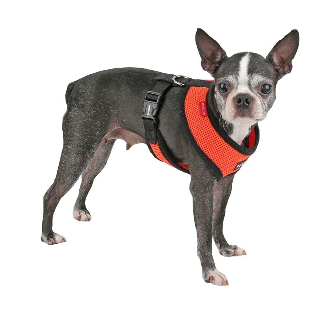 Foto 3 de 6 de Puppia Arnés para Perros pequeños y medianos - Super Suave en Muchos Colores