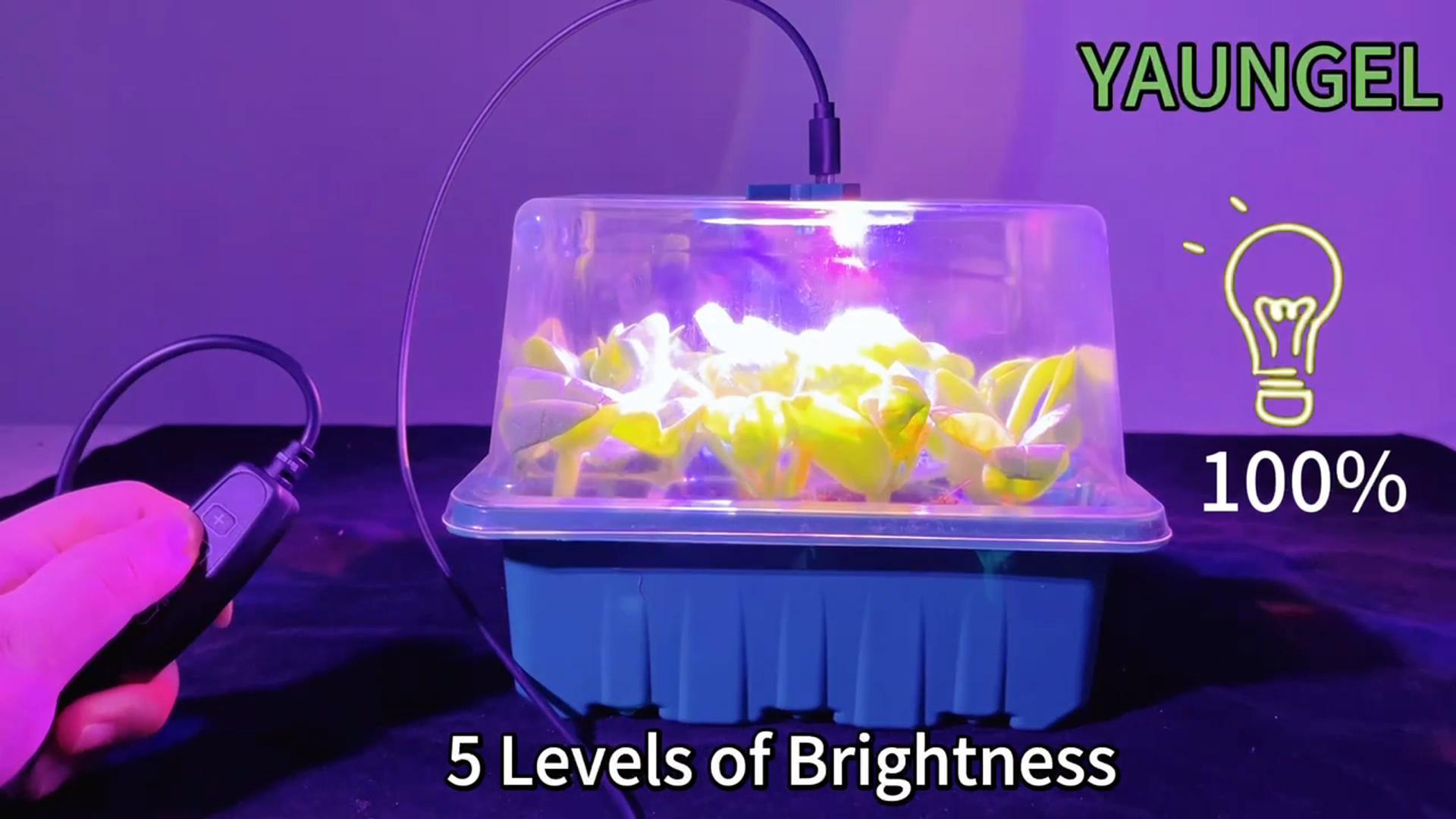 Amazon.com : YAUNGEL Seed Starter Tray with Grow Light, 4 Pack