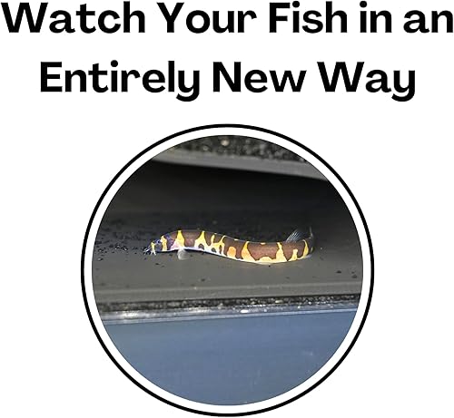 Miniatura 5 de Cueva de túnel subterráneo para acuario, curva natural  Ver peces y camarones debajo del túnel de grava  Decoración de pecera de decoración