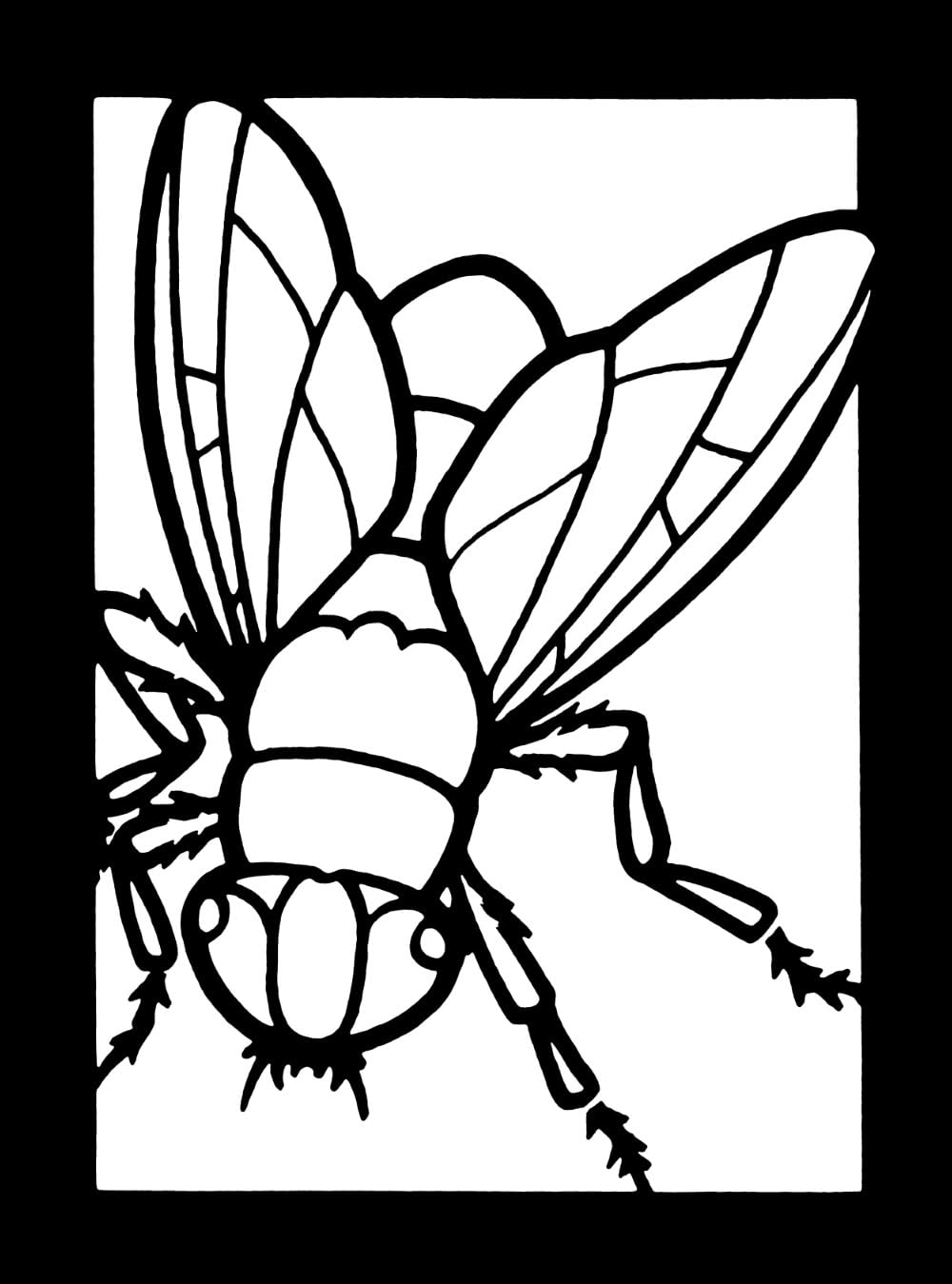 Insects Mini Stained Glass Coloring Book: See-Through Paper Glows In Your Window! (Dover Little Activity Books: Insects) image 5
