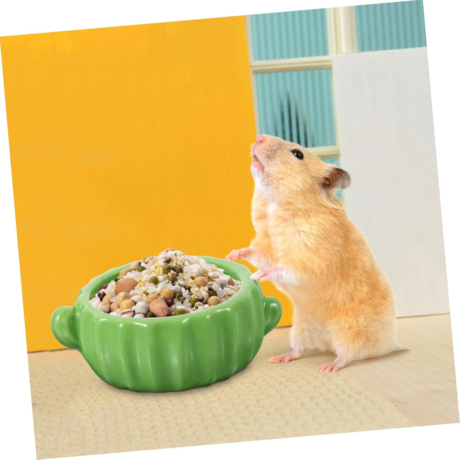 COLLBATH Cactus Ceramic Hamster Bowl Compact Animal Feeding Dish for Guinea Pig Chinchilla Squirrel Food Water Bowl Spills and Tipping