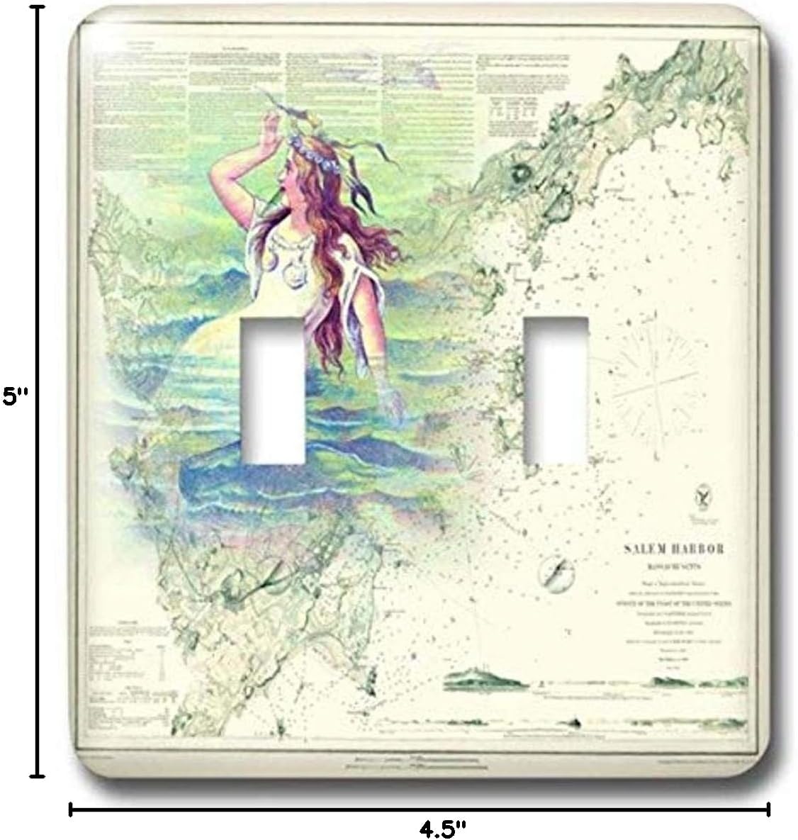 3dRose lsp_204906_2 Print of Salem Harbor Vintage Chart with Mermaid - Double Toggle Switch