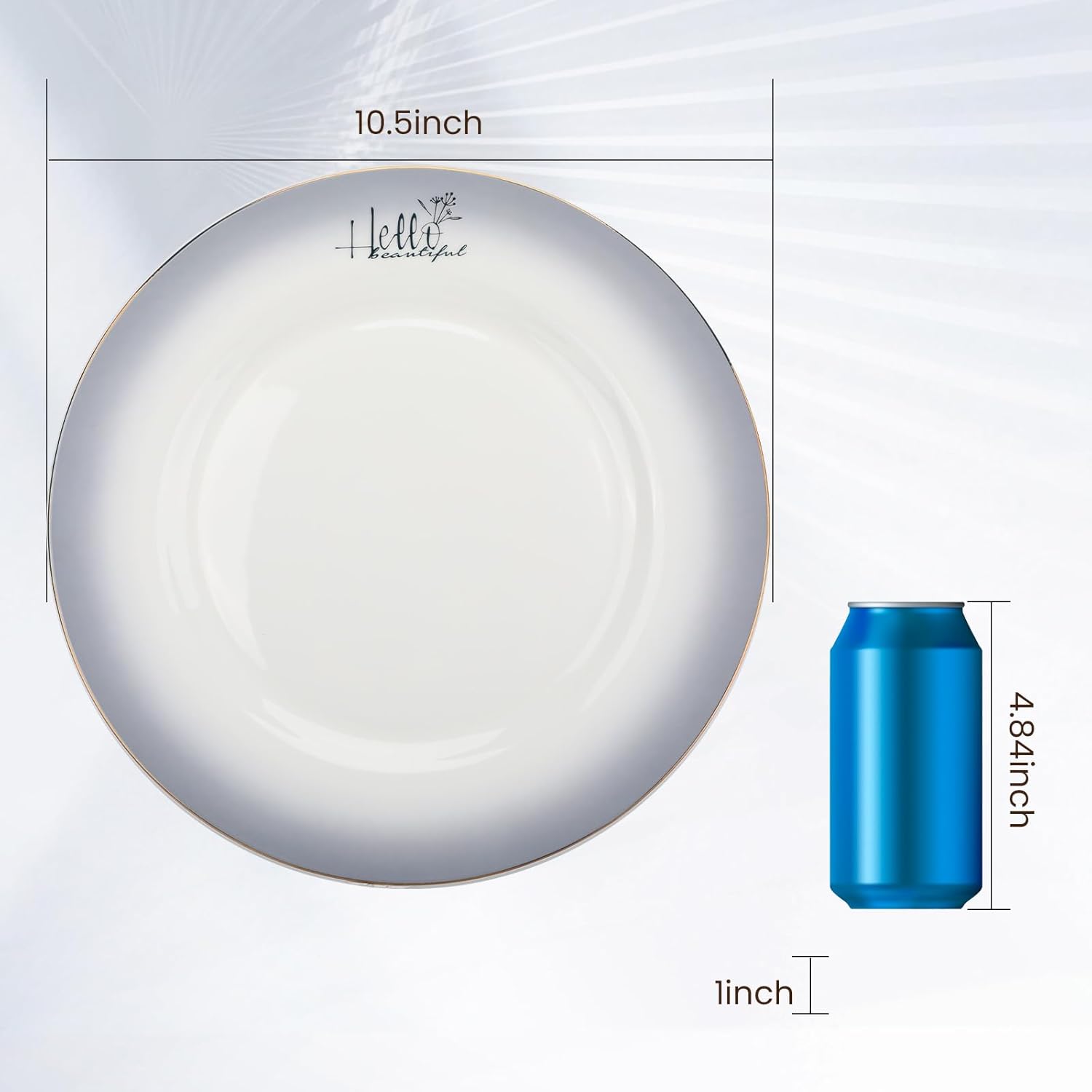 Fine Bone China Dinner Plates,10.5-inch Smoky Gray Sradient Rendering Plates 24k Gold-plated Dinnerware Sets,Elegant Artworks,Suitable for Families with Taste,with Gift Box Packaging