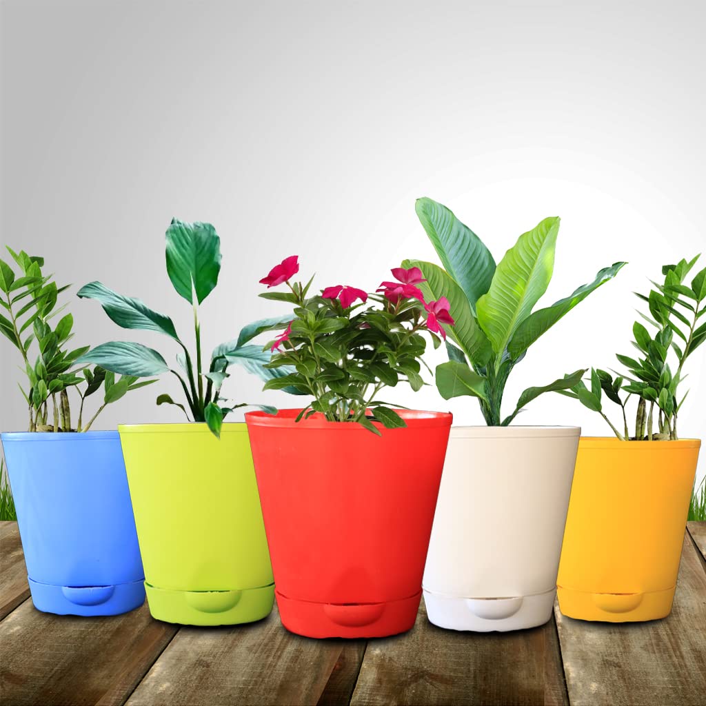 TrustBasket Titan Self Watering Pot 6 inches (Set of 5) | Window Plant Pot for Home Decor (B099ZQJFKN) Amazon Price History, Amazon Price Tracker
