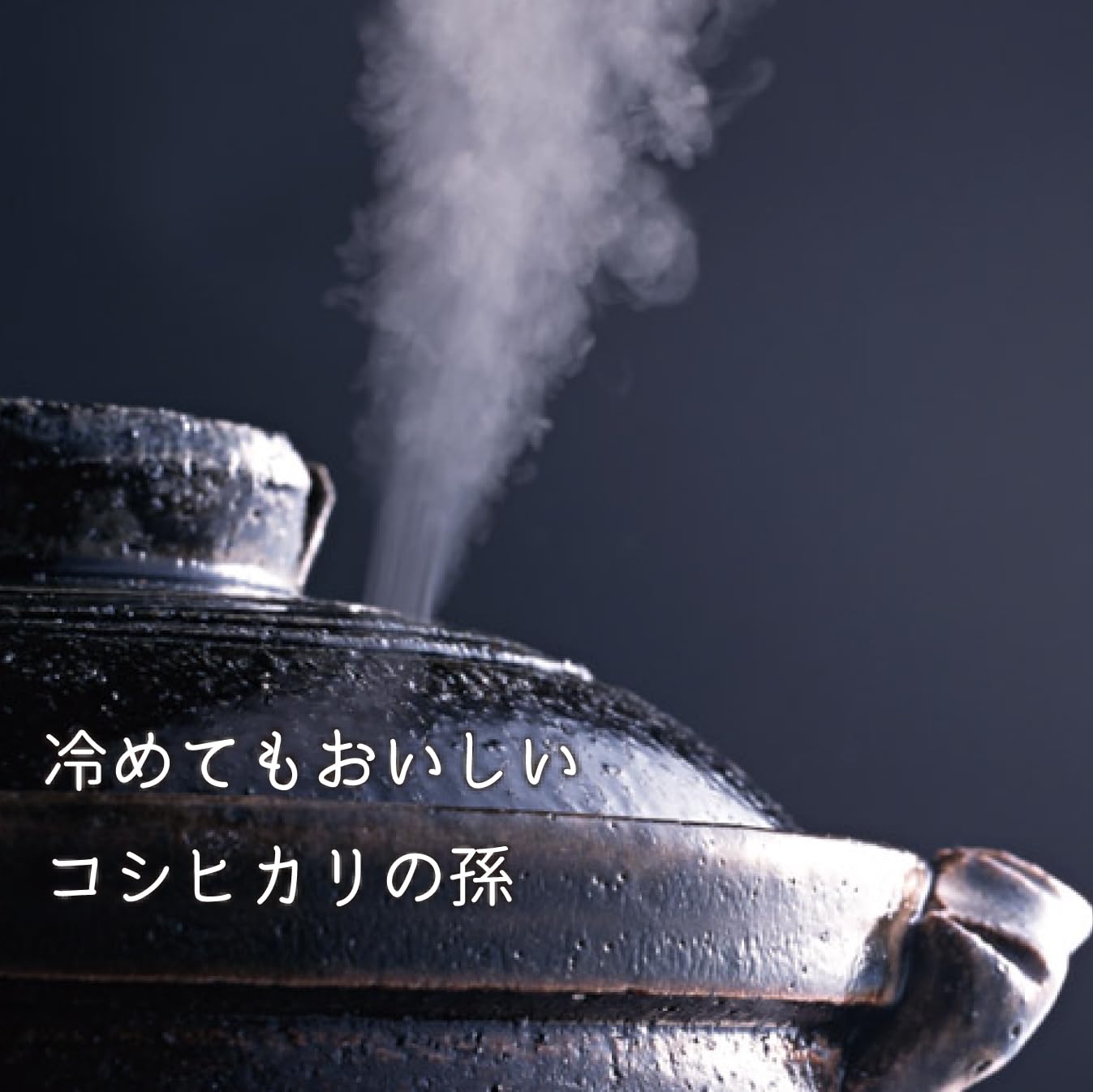 黒ニャン精米済み5キロ2袋　新潟県産こしいぶき　特別栽培米　6年産 令和6年産】 県認証 特別栽培米 新之助 5kg 精米 商品詳細