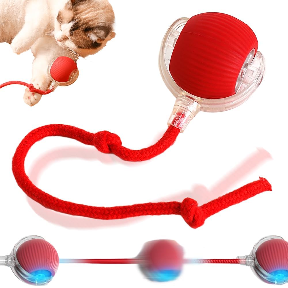 Interactive Rolling Dog Ball 2024 New Self Dog Toys Interactive Cat Toys Automatic Cat Toy Self Moving Dog